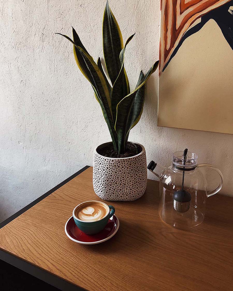 Plant
